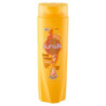 SUNSILK SHAMPOOING DOUX ET BRILLANT POUR CHEVEUX SECS 250 ML