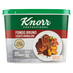 KNORR PROFESSIONAL FONDO BRUNO LEGATO GRANULAIRE 500 G