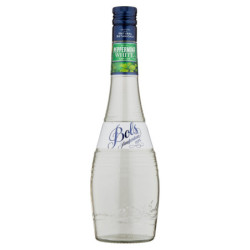 BOLS LIQUEUR BLANCHE DE...