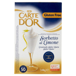 CARTE D'OR PREPARATO IN POLVERE PER SORBETTO AL LIMONE 1,44 KG