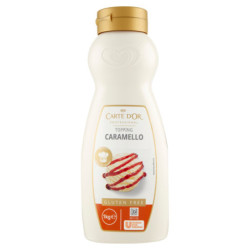 CARTE D'OR TOPPING PROFESIONAL CARAMELO SIN GLUTEN 1 KG