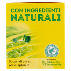 LIPTON TÉ NEGRO CON LIMÓN 20 FILTROS 30 G