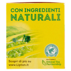 LIPTON TÈ NERO AL MELOGRANO 20 FILTRI 30 G