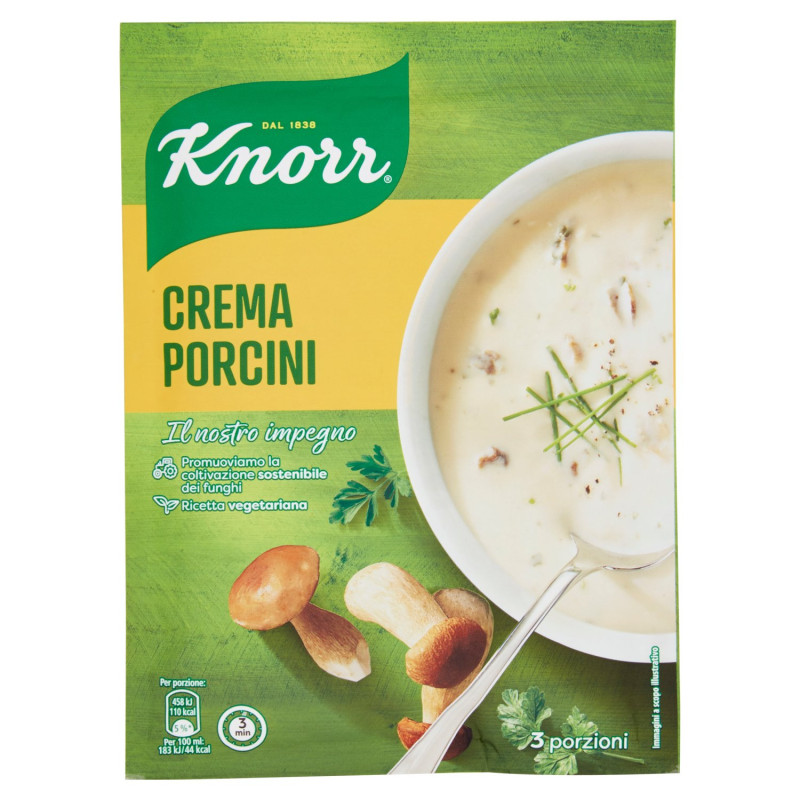 KNORR PORCINI CREAM 76 G