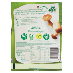 KNORR PORCINI CREAM 76 G