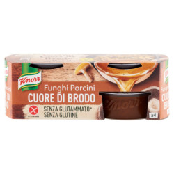 KNORR CALDO DE CORAZÓN DE SETAS PORCINI 4 X 28 G