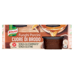 KNORR CALDO DE CORAZÓN DE SETAS PORCINI 4 X 28 G