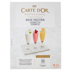 CARTE D'OR SORBET BASE...