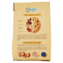 GALLETAS CASCANUECES MULINO BIANCO CON FRUTOS SECOS Y CHOCOLATE NEGRO 300G