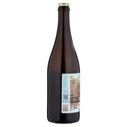 BIÈRE ANTONIANA MARECHIARO BLONDE PREMIUM 75 CL