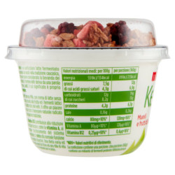 KEFIR DE LECHE MUESLI Y BAYAS 160 G