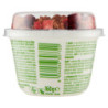 MUESLI KÉFIR DE LAIT ET BAIES 160 G