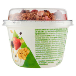 KEFIR DE LECHE MUESLI Y BAYAS 160 G