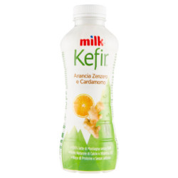 KEFIR DE LECHE NARANJA JENGIBRE Y CARDAMOMO 480 G