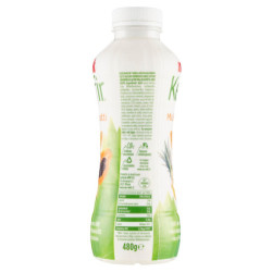 KÉFIR DE LAIT MULTIFRUITS 480 G