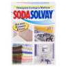 SodaSolvay Detergente Ecologico Multiuso 1000 g