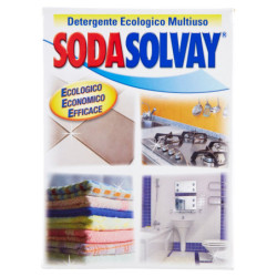 SODASOLVAY MULTIPURPOSE ECOLOGICAL CLEANER 1000 G