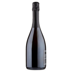 FEUDI DI SAN GREGORIO FALANGHINA BRUT 750 ML