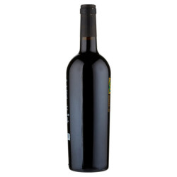 Feudi di San Gregorio Rubrato Irpinia Aglianico DOC 750 ml