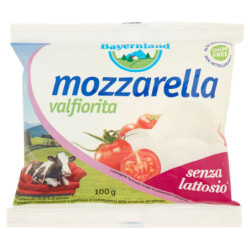 BAYERNLAND MOZZARELLA VALFIORITA LACTOSE-FREE* 100 G