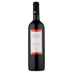 CANTINE ASTRONI PIDIROSSO CAMPI FLEGREI DOP PER'E PALUMMO 750 ML