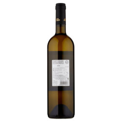 Cantine Astroni Falanghina Campi Flegrei DOP Falangos 750 ml