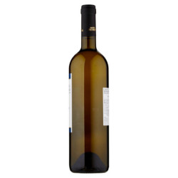 CANTINE ASTRONI FALANGHINA CAMPI FLEGREI DOP FALANGOS 750 ML