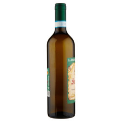 LA VINICOLA DEL TITERNO SOLOPACA SANNIO DOP BLANCO 750 ML