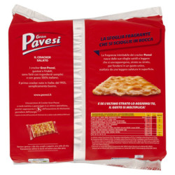 GRAN PAVESI THE SALTED CRACKER 560G