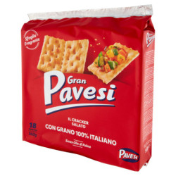 GRAN PAVESI THE SALTY CRACKER WITH 100% ITALIAN WHEAT 560G