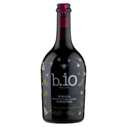 B.IO BPUNTOIO ROMAGNA DOC SANGIOVESE 750 ML