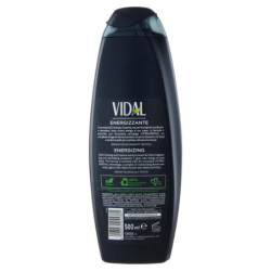 VIDAL ENERGY & SPORT BAIN DOUCHE GINSENG ET GUARANA 500 ML