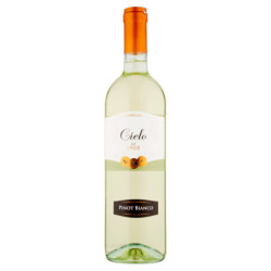 CIELO PINOT BIANCO TREVENEZIE IGT 75 CL