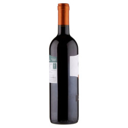 CIELO CABERNET SAUVIGNON TRE VENEZIE IGT 75 CL