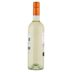 CIELO GARGANEGA CHARDONNAY CUVÉE VENETO IGT 75 CL