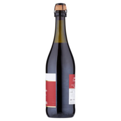 BotteBuona Lambrusco Emilia IGT Vino Frizzante Amabile 0,75 l