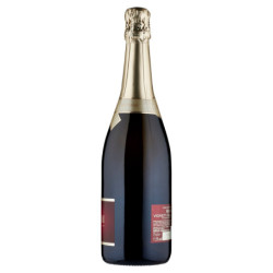 CAVIT TRENTO ESPUMOSO BRUT MÜLLER THURGAU VIÑEDOS DE LOS DOLOMITAS IGT 75 CL