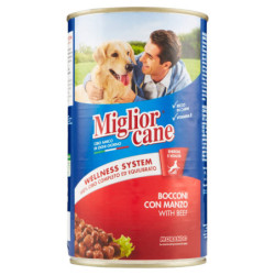 BOUQUÉES DE MIGLIORCANE AU...