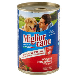 BOUQUÉES DE MIGLIORCANE AU...