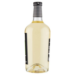 BAGLIO AL SOLE PINOT GRIGIO FRIULI DOC GRAVE 750 ML