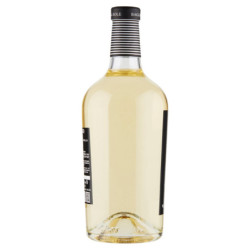 BAGLIO AL SOLE PINOT GRIGIO FRIULI DOC GRAVE 750 ML