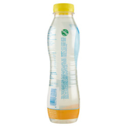 Vitasnella le Linfe Detox con Limone Zenzero Menta 500 mL