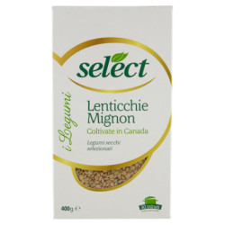 SELECT SELECTIONS FROM THE WORLD MIGNON LENTILS 400 G