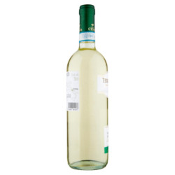 CITRA TERRAMARE TREBBIANO D'ABRUZZO DOC 750 ML