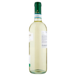 Citra Terramare Trebbiano d'Abruzzo DOC 750 ml