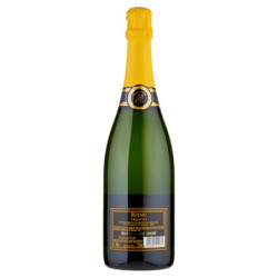 ROTARI BRUT TRENTODOC 750 ML