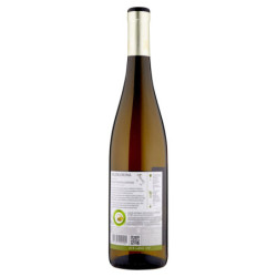 Mezzacorona Gewürztraminer Trentino DOC 75 cl