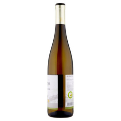 Mezzacorona Gewürztraminer Trentino DOC 75 cl