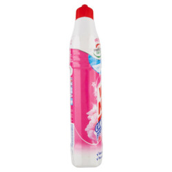 Wc Net - Candeggina profumata gel, flower fresh, 700 ml