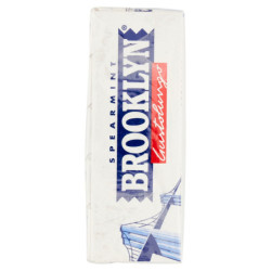 MENTHE VERTE BROOKLYN 20X25G